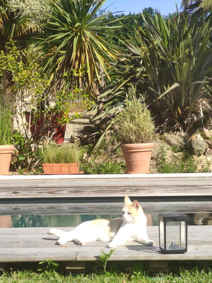 Appartamento La petite Hautière Maison 2 personnes Plouer sur Rance avec piscine Esterno foto